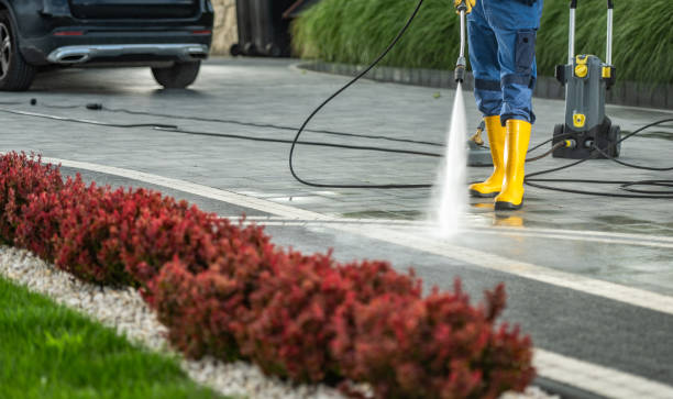 Best Solar Panel Cleaning  in Marion, IA